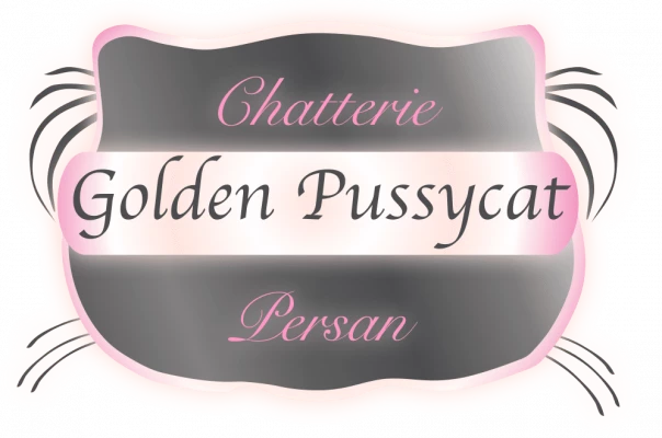 Chatterie Golden Pussycat